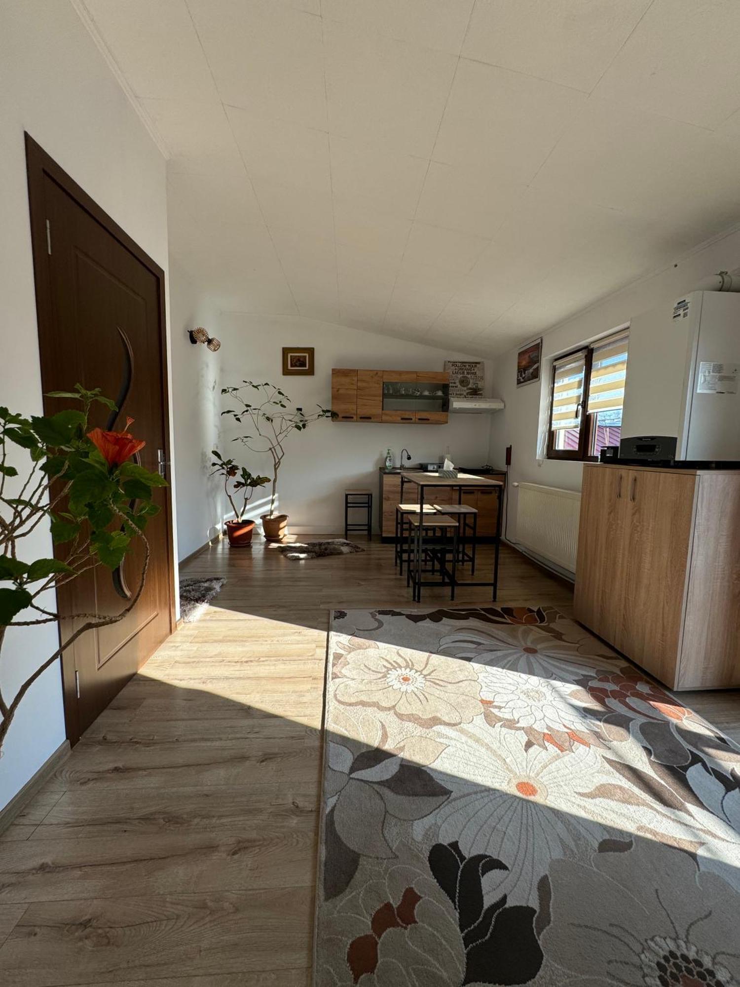 Victor Residence 38 Βουκουρέστι Εξωτερικό φωτογραφία