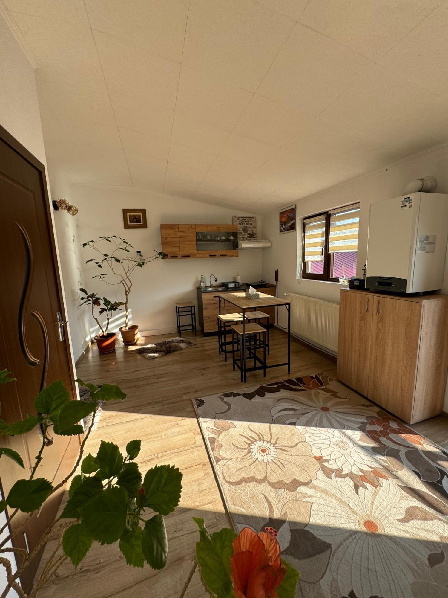 Victor Residence 38 Βουκουρέστι Εξωτερικό φωτογραφία