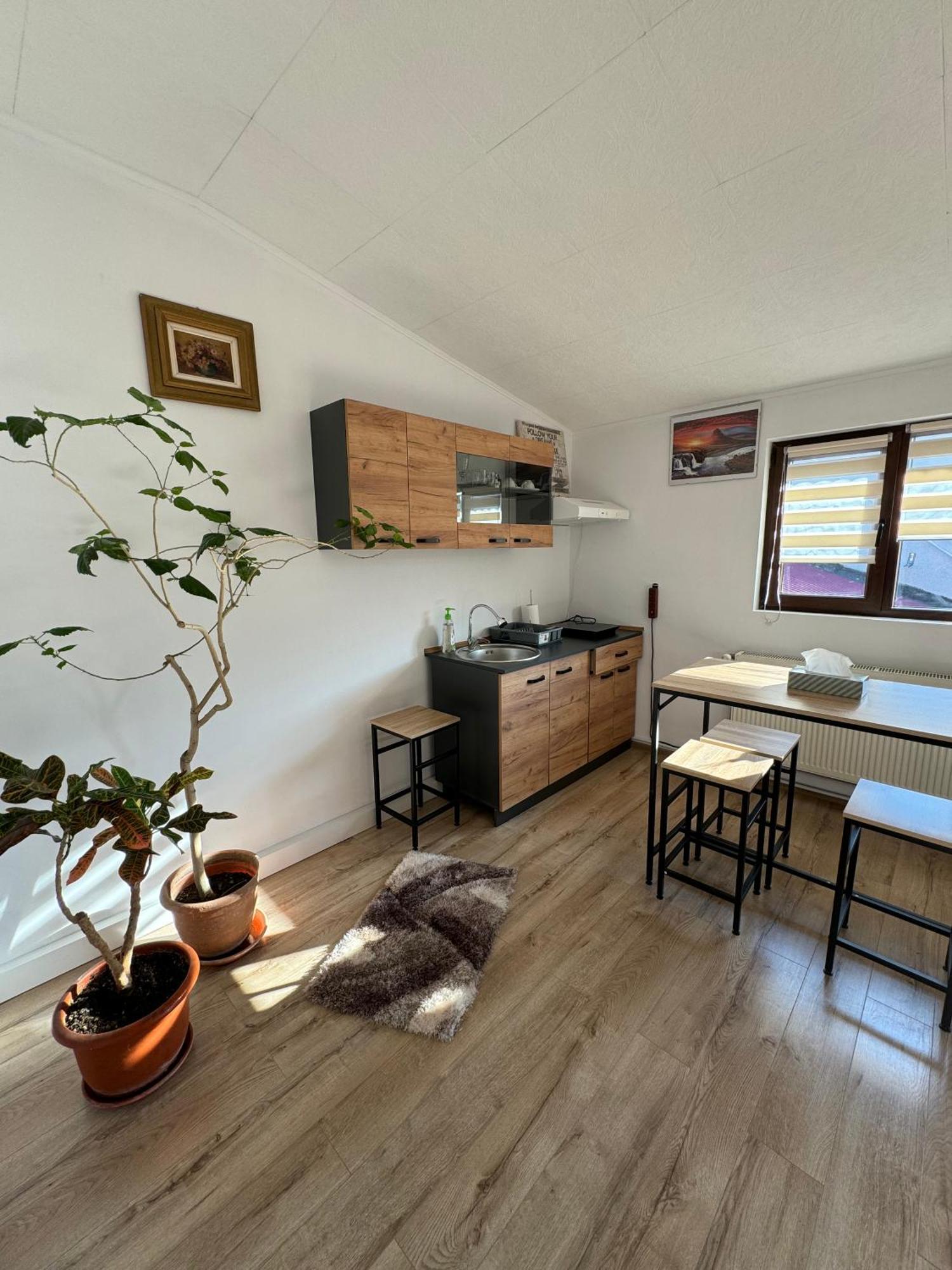 Victor Residence 38 Βουκουρέστι Εξωτερικό φωτογραφία