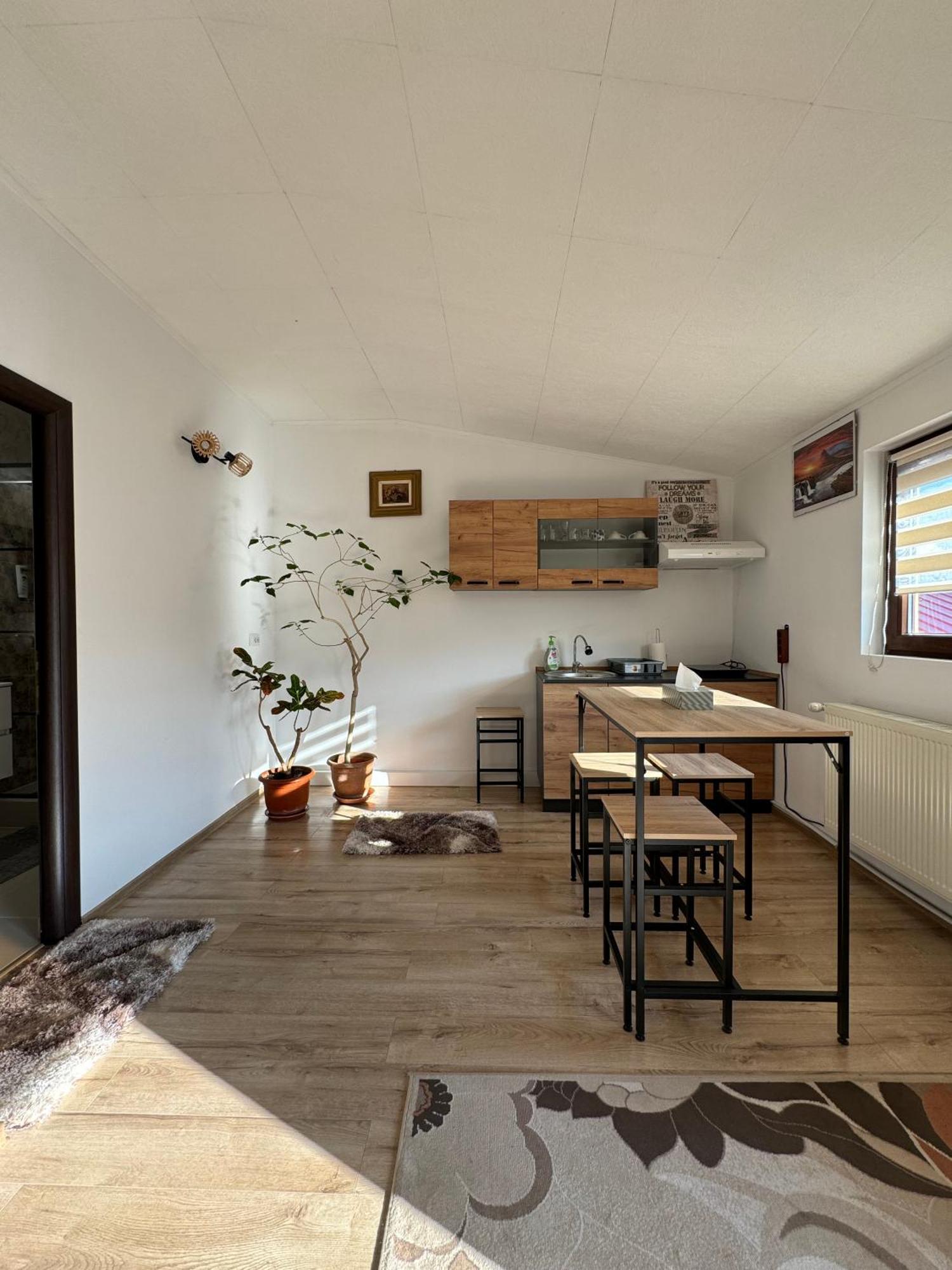 Victor Residence 38 Βουκουρέστι Εξωτερικό φωτογραφία